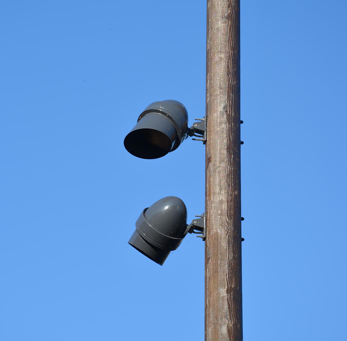 DSC_0096