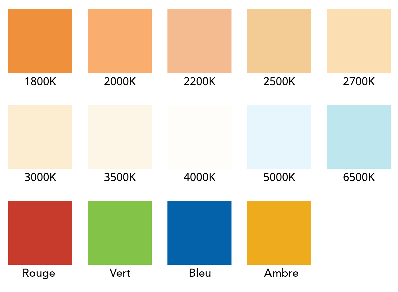 COLORS